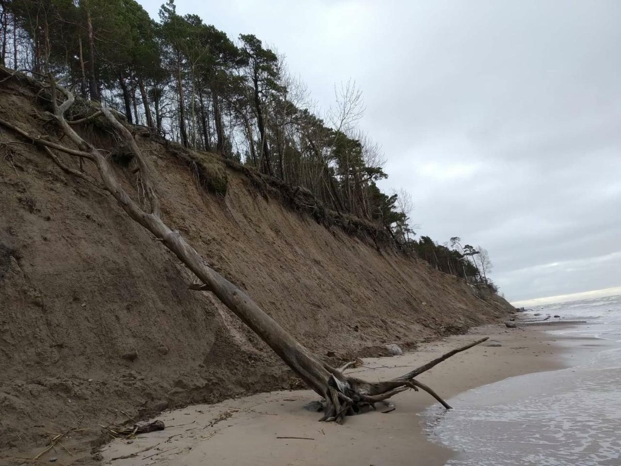 Yzzi Lejlighed Palanga Eksteriør billede